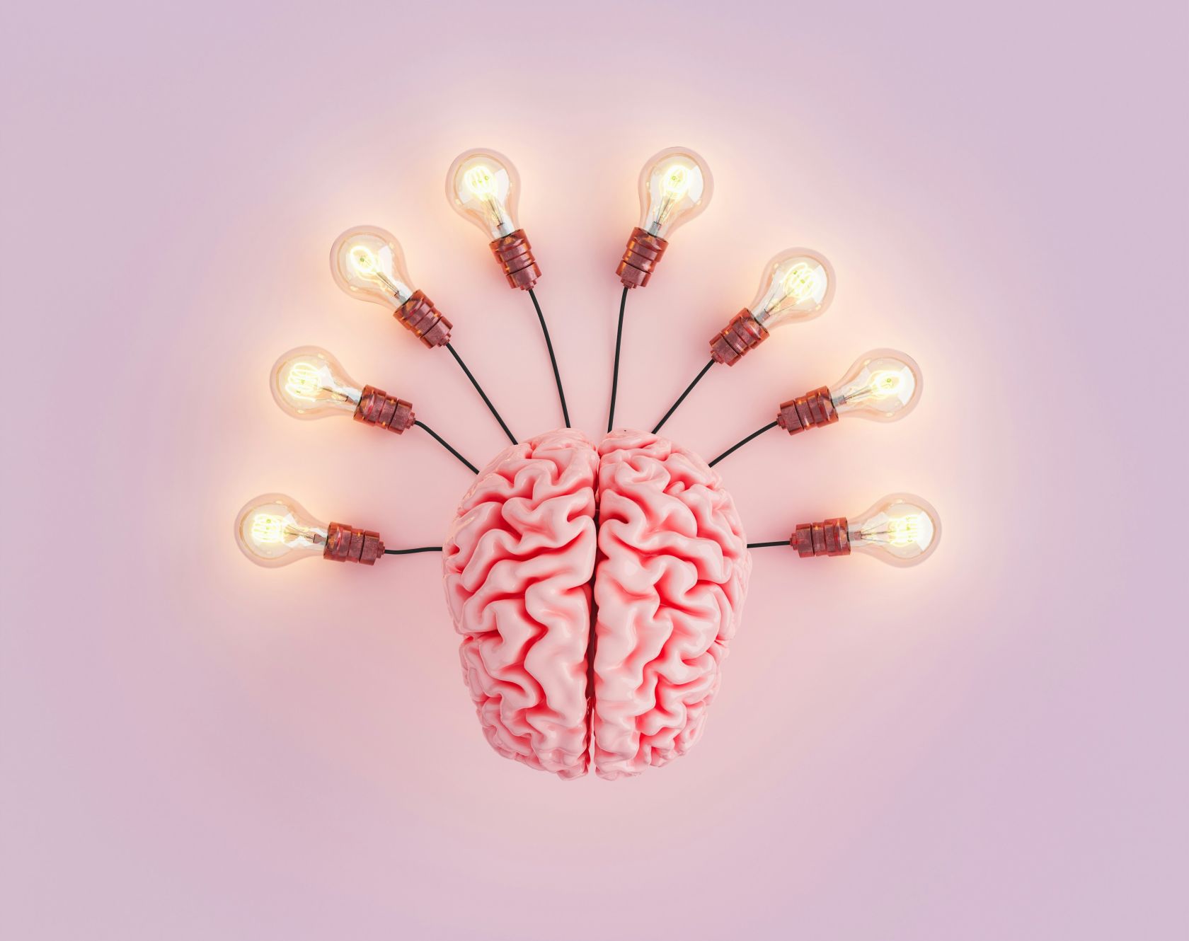 Praktijkleerlijnen Mindset Instituut