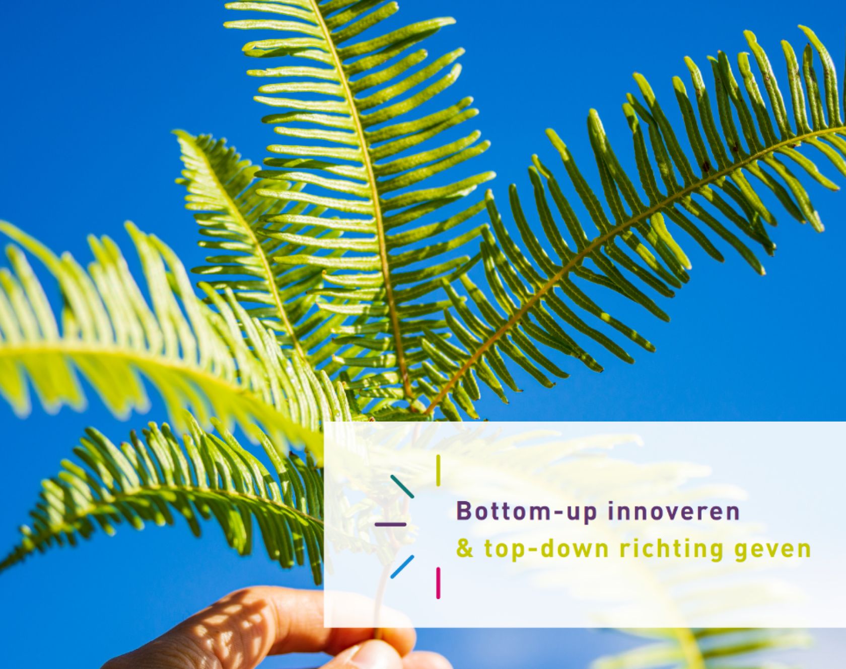 Publicatie: Bottom-up innoveren en top-down richting geven